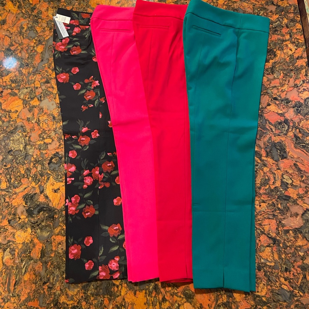 Women’s dress pants